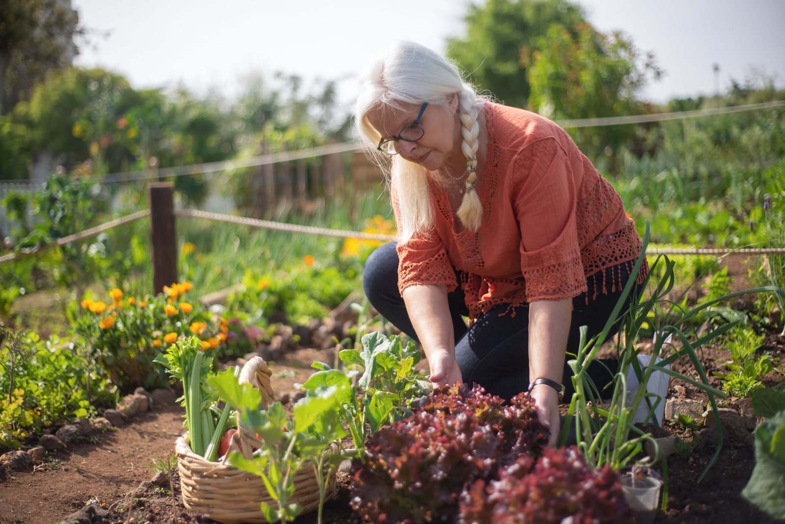 Ältere Frau im Garten zwischen Blumen in der Nachmittagssonne